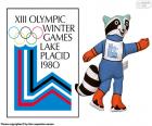 Lake Placid 1980 Olimpiyat Oyunları